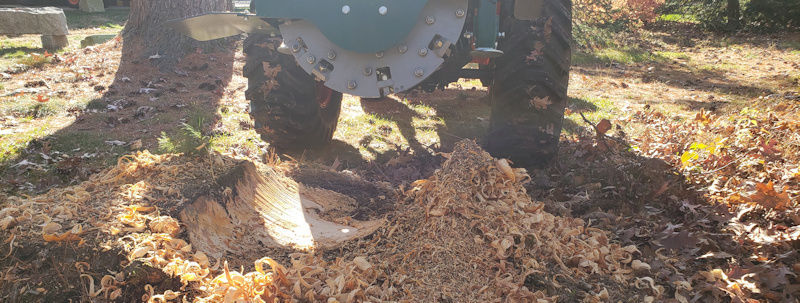 NH Stump Grinding and General Tractor Work