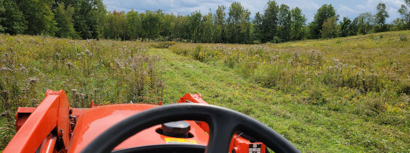 Southern NH Tractor Field Mowing and Brush Hog Cutting